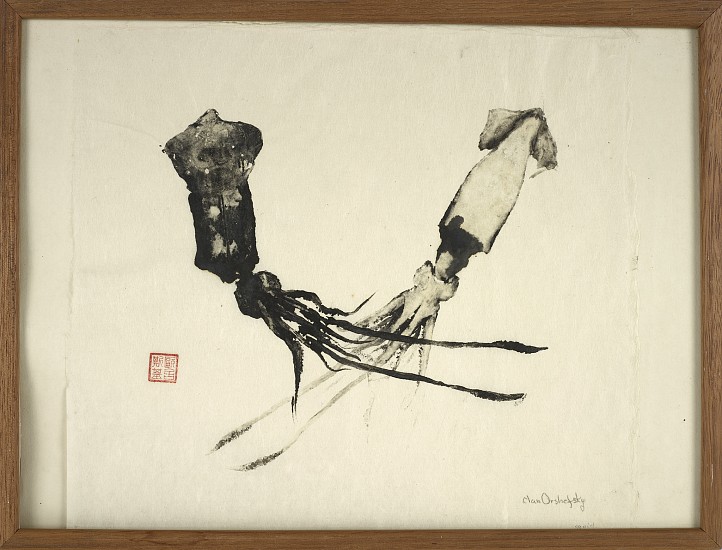 Nan Orchefsky, Squid
Ink on paper, 11 1/4 x 13 in. (28.6 x 33 cm)
ORC-00001