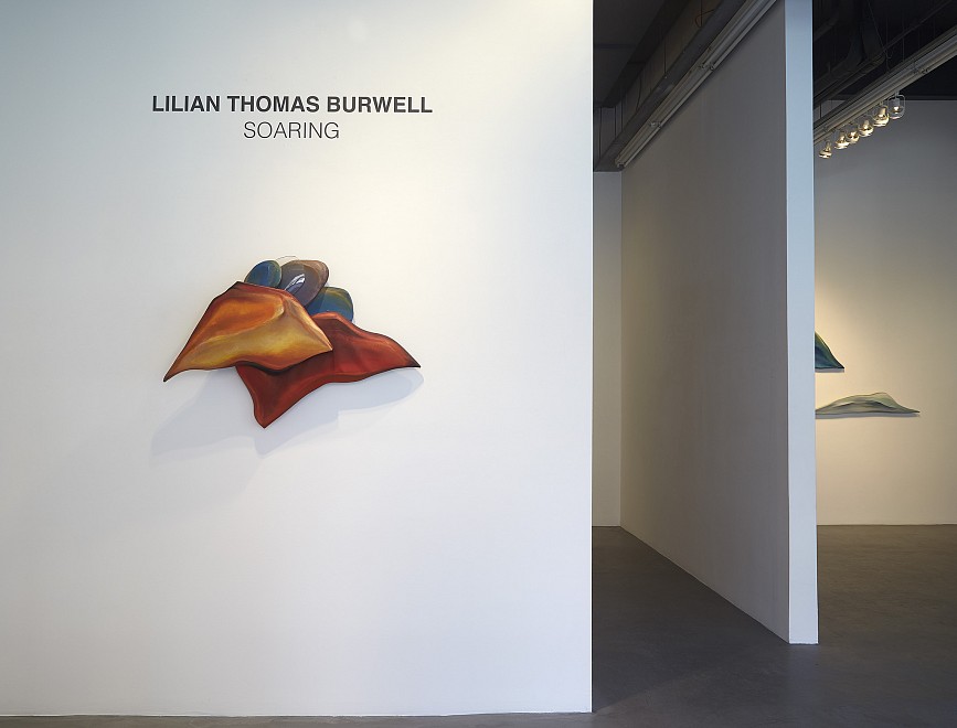 Lilian Thomas Burwell: Soaring | Curated by Melissa Messina - Installation View
