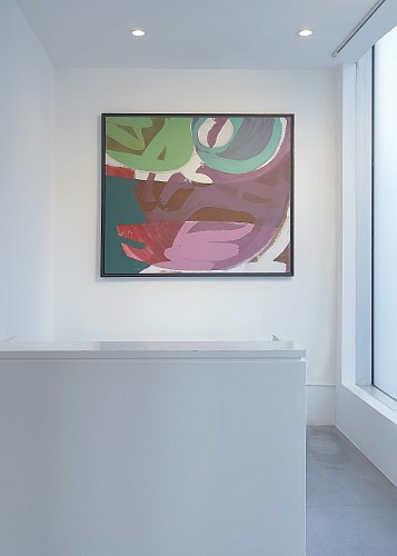 Syd Solomon: Concealed and Revealed - Installation View