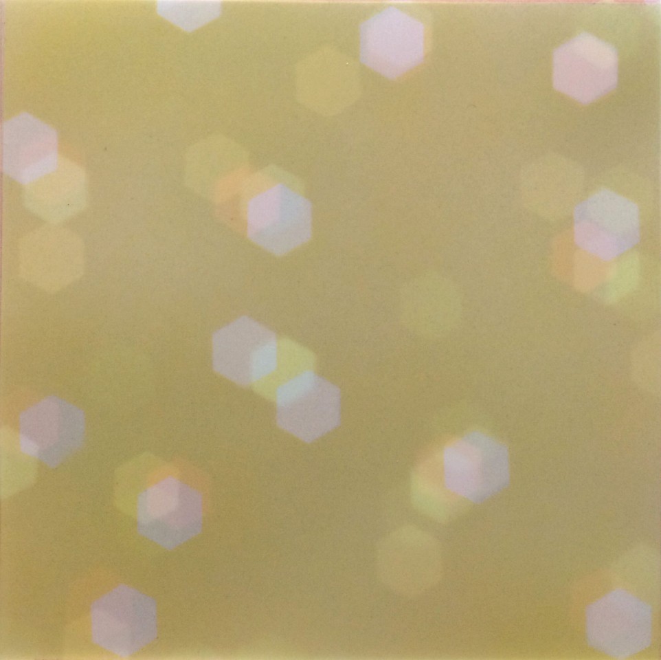 Mike Solomon, Afternoon Bokeh, 2018
Acrylic on polyester films, 18 x 18 in. (45.7 x 45.7 cm)
© Mike Solomon
MSOL-00078