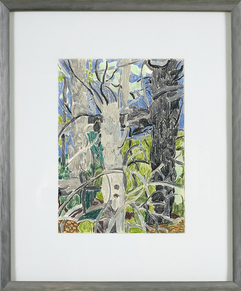 Lynne Drexler, Older Trees, 1984
Prismacolor pencil on paper, 12 x 8 5/8 in. (30.5 x 21.9 cm)
DREX-00111