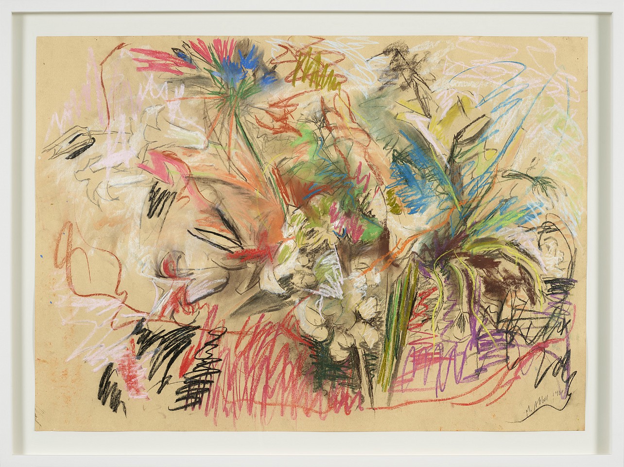 Mary Abbott, Blue Thistle, 1960
Pastel and pencil on paper, 29 3/8 x 41 1/4 in. (74.6 x 104.8 cm)
ABB-00004